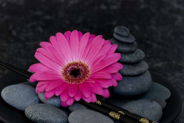 Gerbera Und Steinturm Lizenzfreies Bild Bildagentur