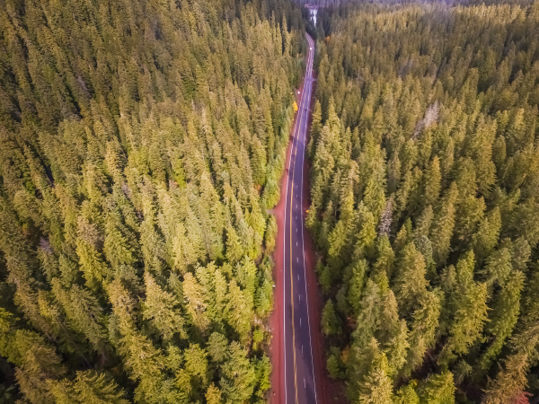 Luftaufnahme einer Straße den Wald in Oregon Lizenzfreies Bild