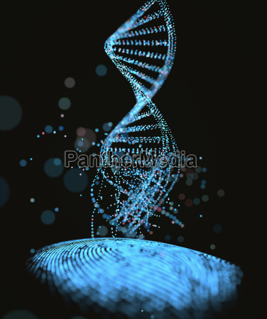 Fingerabdruck Genetik Code Dna Lizenzfreies Bild