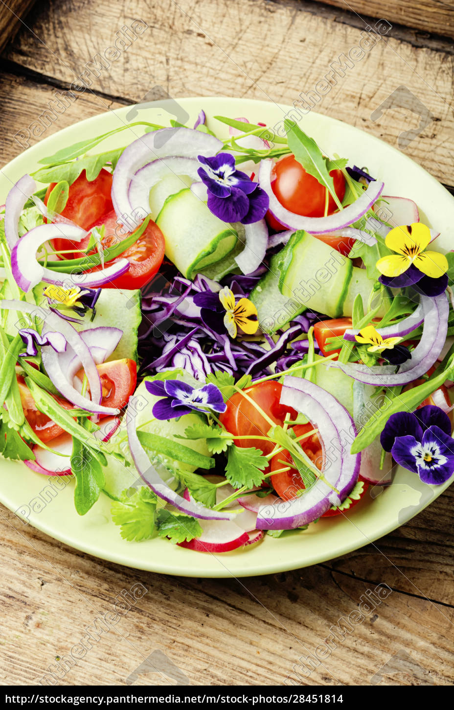 Salat mit Gemüse und Kräutern Stockfoto 28451814 Bildagentur