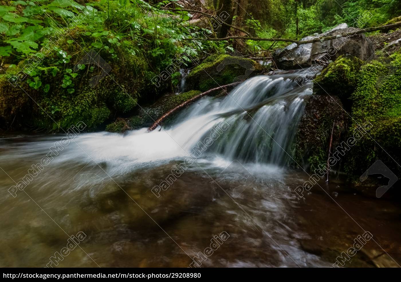 Flie Endes Wasser Ber Einen Schritt Im Wald Lizenzpflichtiges Bild