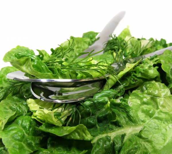 grüner Salat - Stockfoto #1047537 | Bildagentur PantherMedia