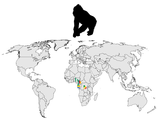 welt gorilla verbreitung