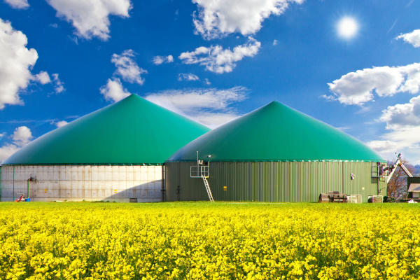 biogasanlage, im, rapsfeld - 9168312