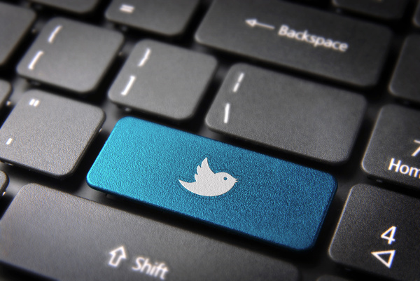 blaue tastatur twitter vogel schluessel soziale