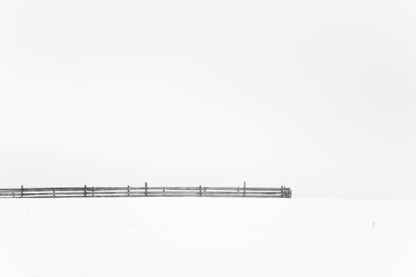 Medien-Nr. 10499681
