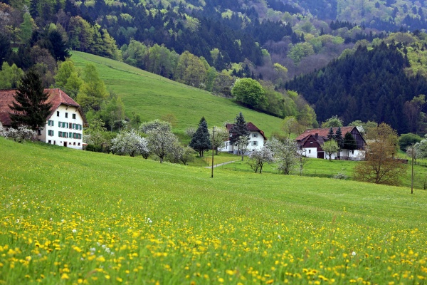 Medien-Nr. 11531847