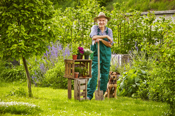 garten hund hut stehend gaertner