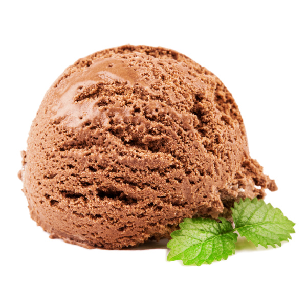 chocolate ice cream with a mint
