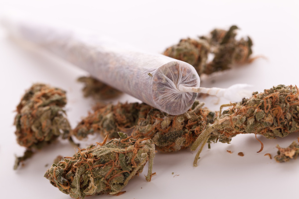 getrocknete Cannabis Blüten Gras mit Joint rauchen - Lizenzfreies Bild  #14550199 | Bildagentur PantherMedia
