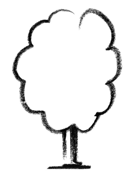 deciduous tree sketch