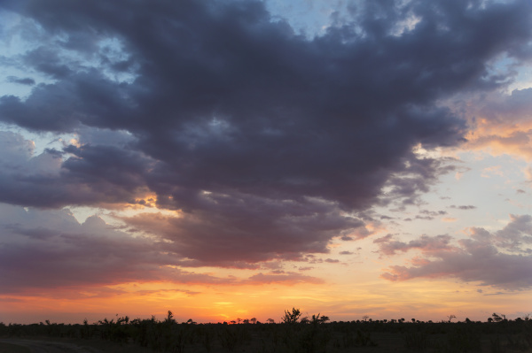 silhouetted landschaft bei sonnenuntergang kasane chobe