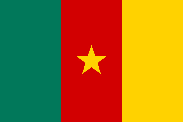 flagge von kamerun in korrekten proportionen