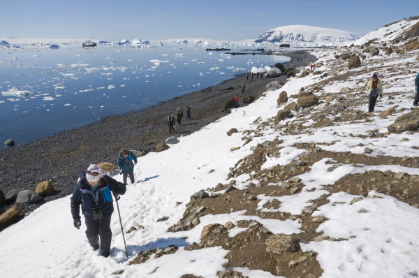 brown bluff antarktische halbinsel antarktis polarregionen