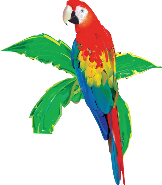 papagei rote exotische illustration