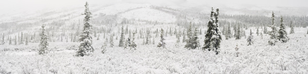 panorama landschaft der ersten schneefaelle auf