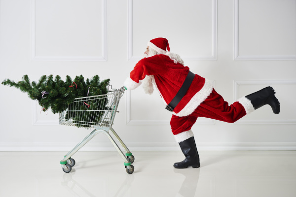 weihnachtsmann der weihnachtsbaum in einem einkaufswagen