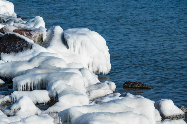 maulwurf im winter in warnemuende deutschland