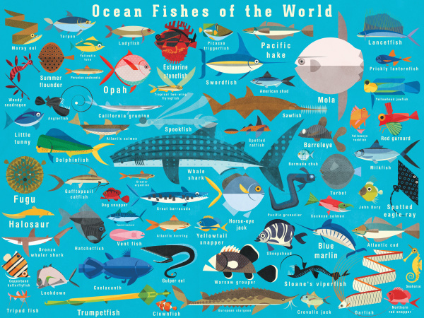 illustration vieler meeresfische aus aller welt