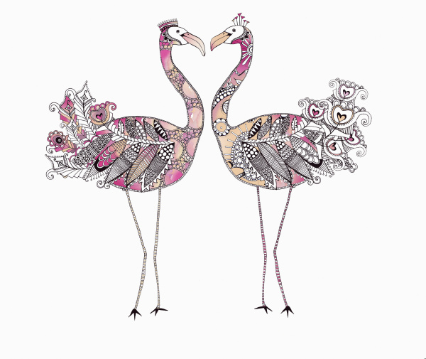zwei flamingos von angesicht zu angesicht