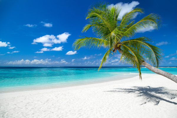 Paradies Strand Hintergrund - Stockfoto #26055309