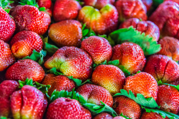 erdbeeren auf dem marktplatz verkauft