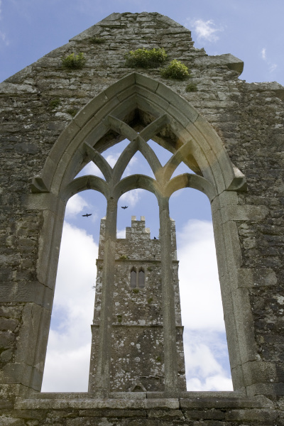 irland galway ross errilly friary
