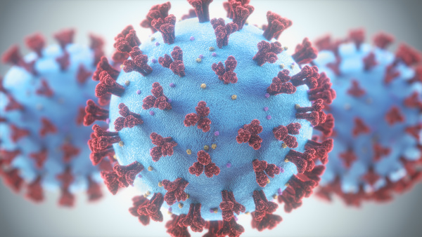 coronavirus atemwegsinfektionen virusmutation