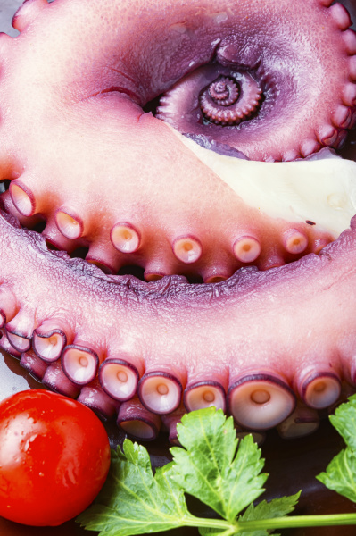 roher tentakel eines oktopus