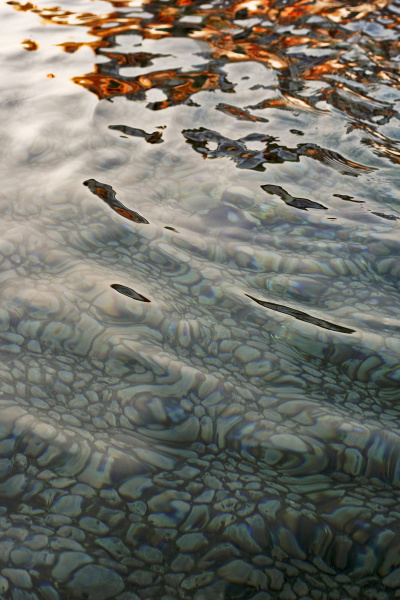 wasserreflexion