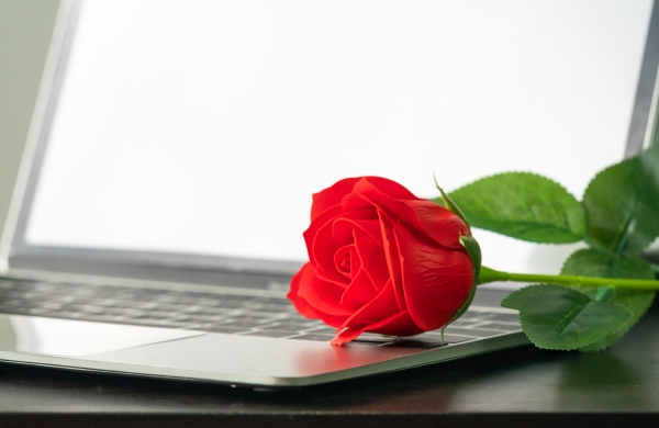 rote rose auf der laptop tastatur