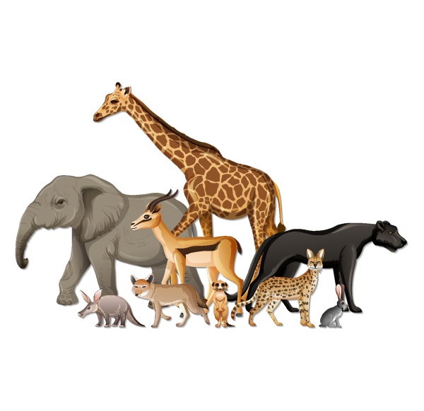 group, of, wild, african, animals, on - 30200414