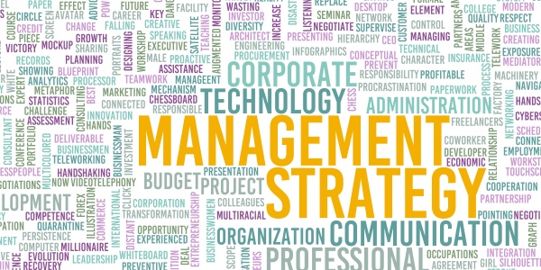 managementstrategie