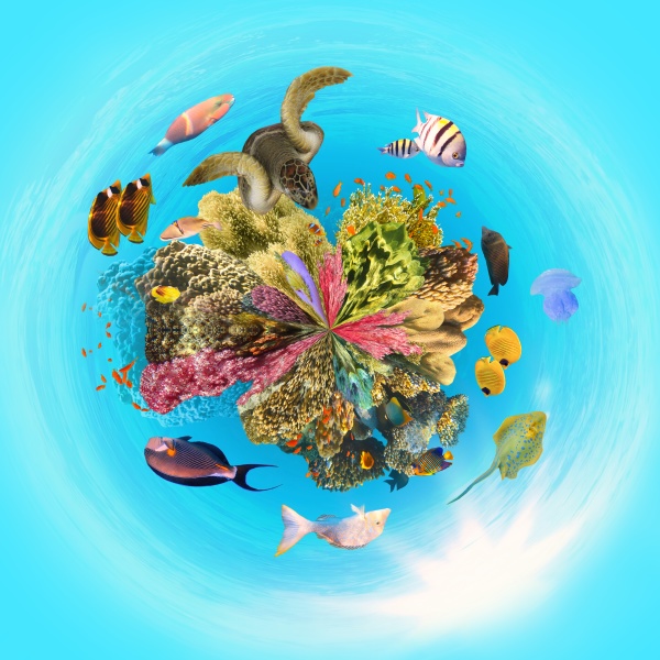 unterwasserparadies, hintergrund, korallenriff, tierwelt, natur, collage - 30912473