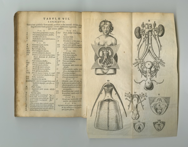 Medien-Nr. 31375145