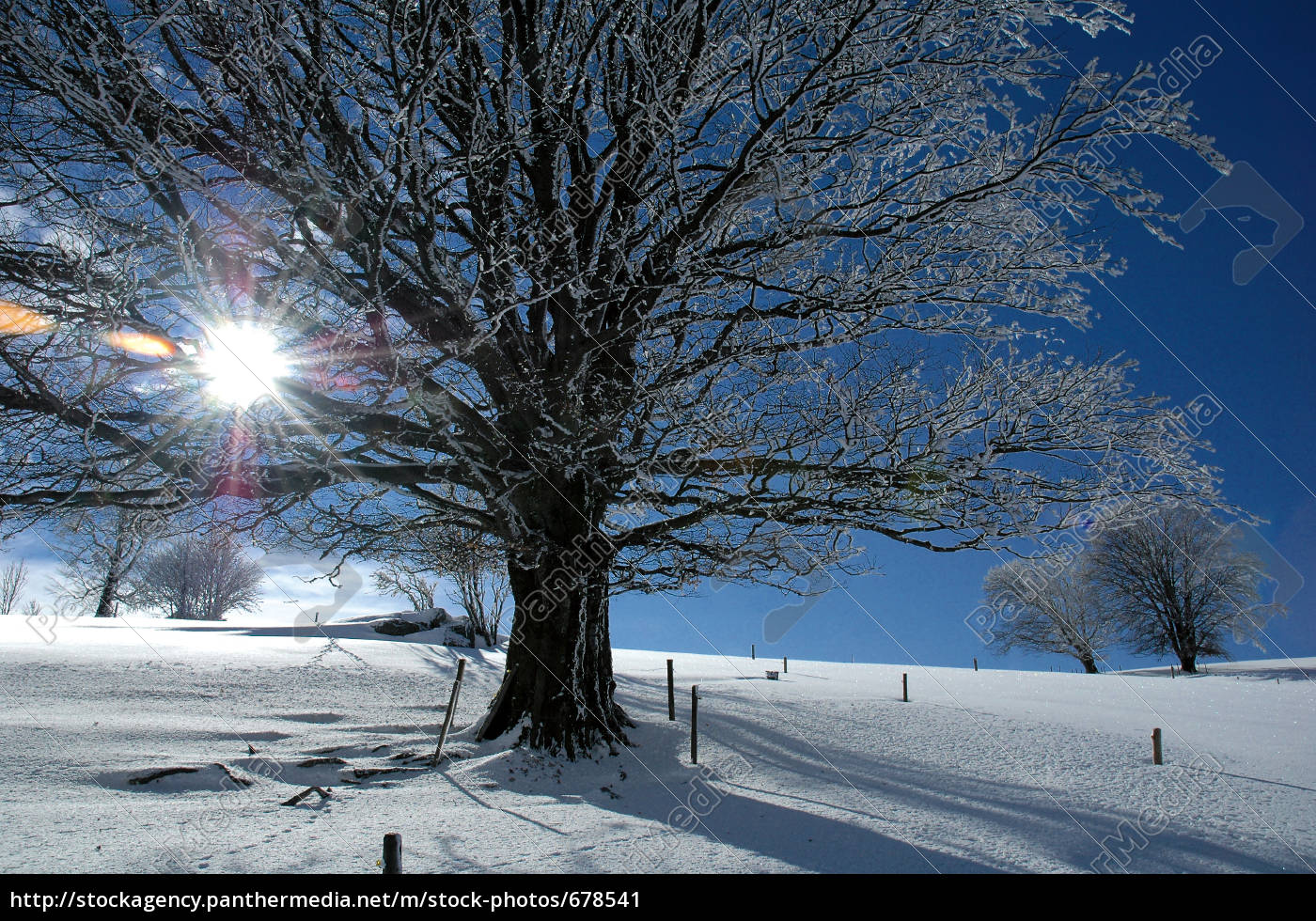 Winterlandschaft 4 - Lizenzfreies Bild - #678541 - Bildagentur PantherMedia