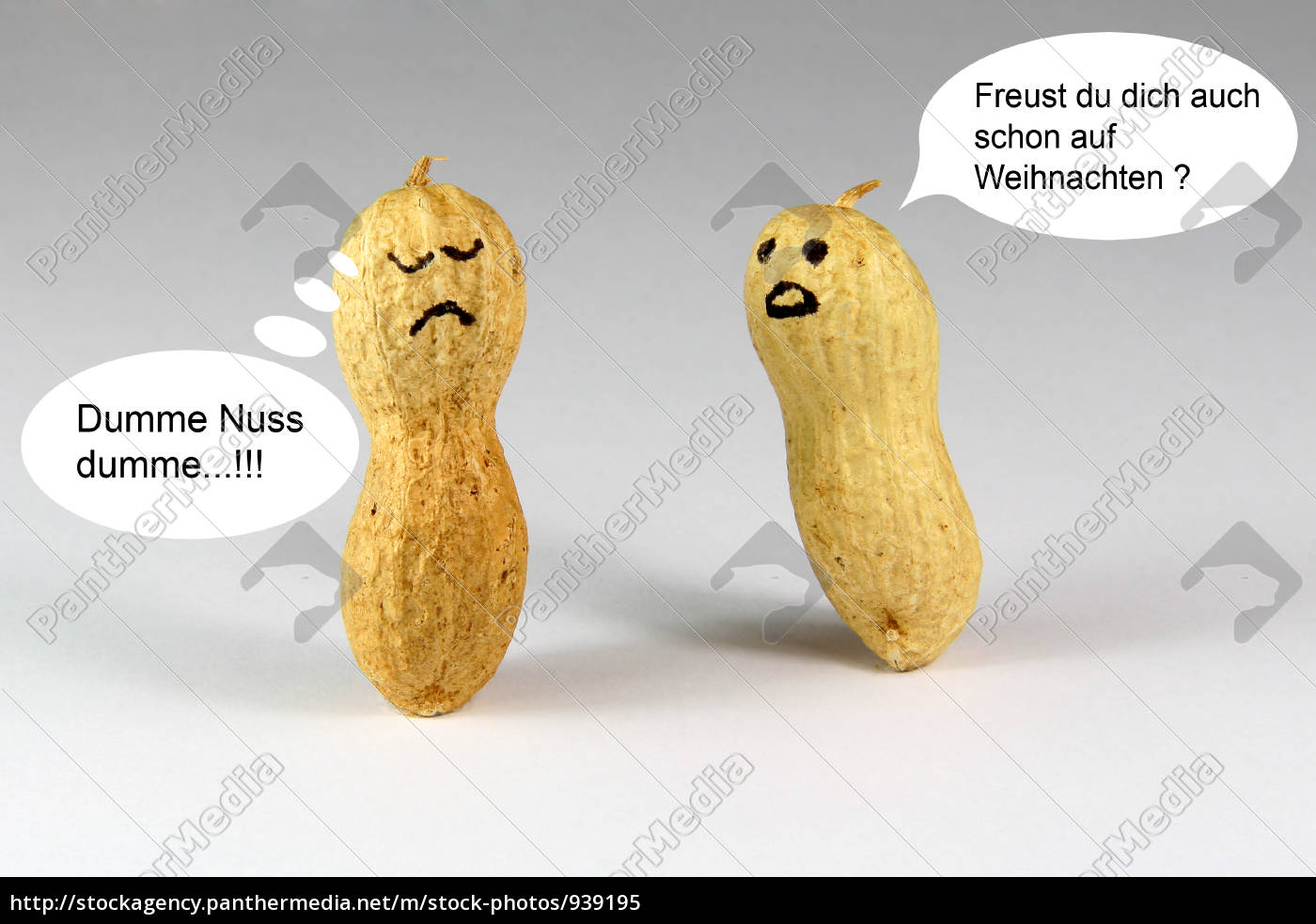 Dumme Nuss Stockfoto 939195 Bildagentur PantherMedia