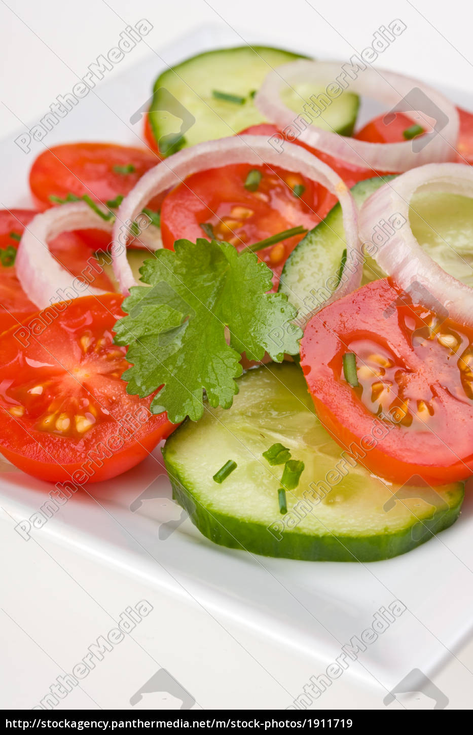 Tomaten-Gurkensalat auf einem weißen Teller - Lizenzfreies Bild ...