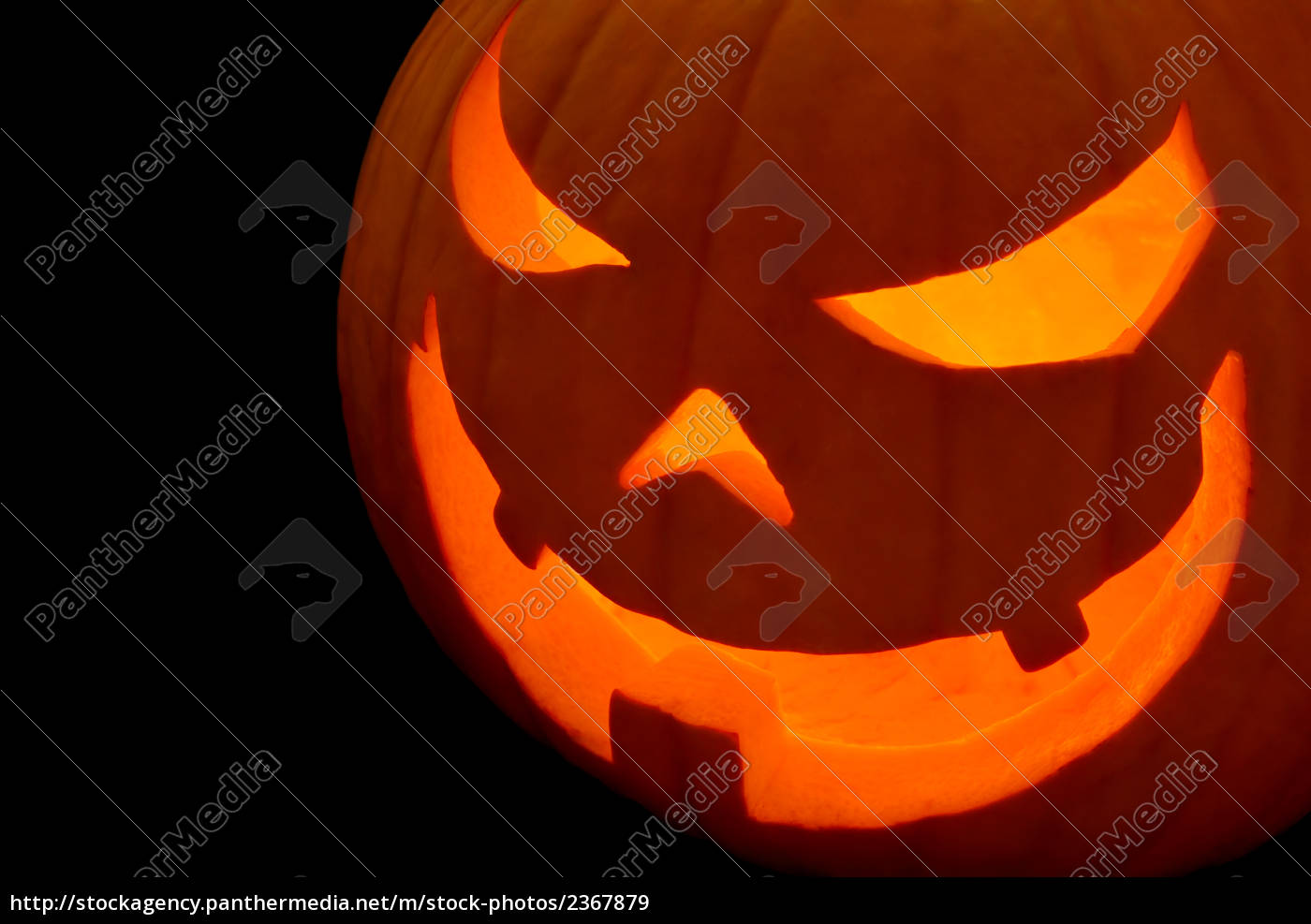 Nahaufnahme Von Halloween Kurbis Stockfoto Bildagentur Panthermedia