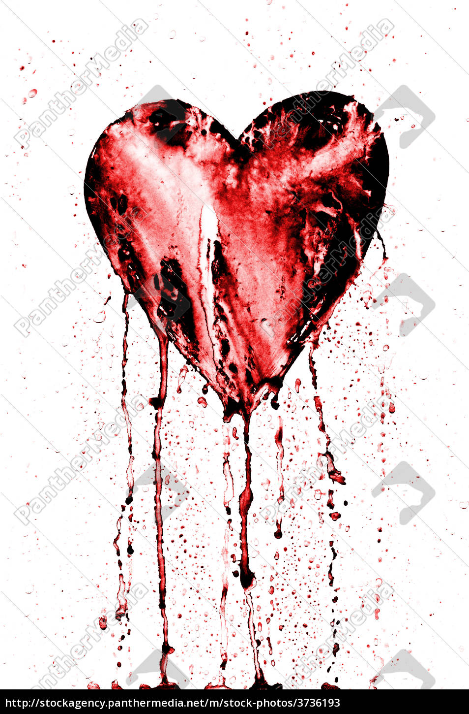Gebrochenes Herz Bleeding Heart Lizenzfreies Bild Bildagentur Panthermedia