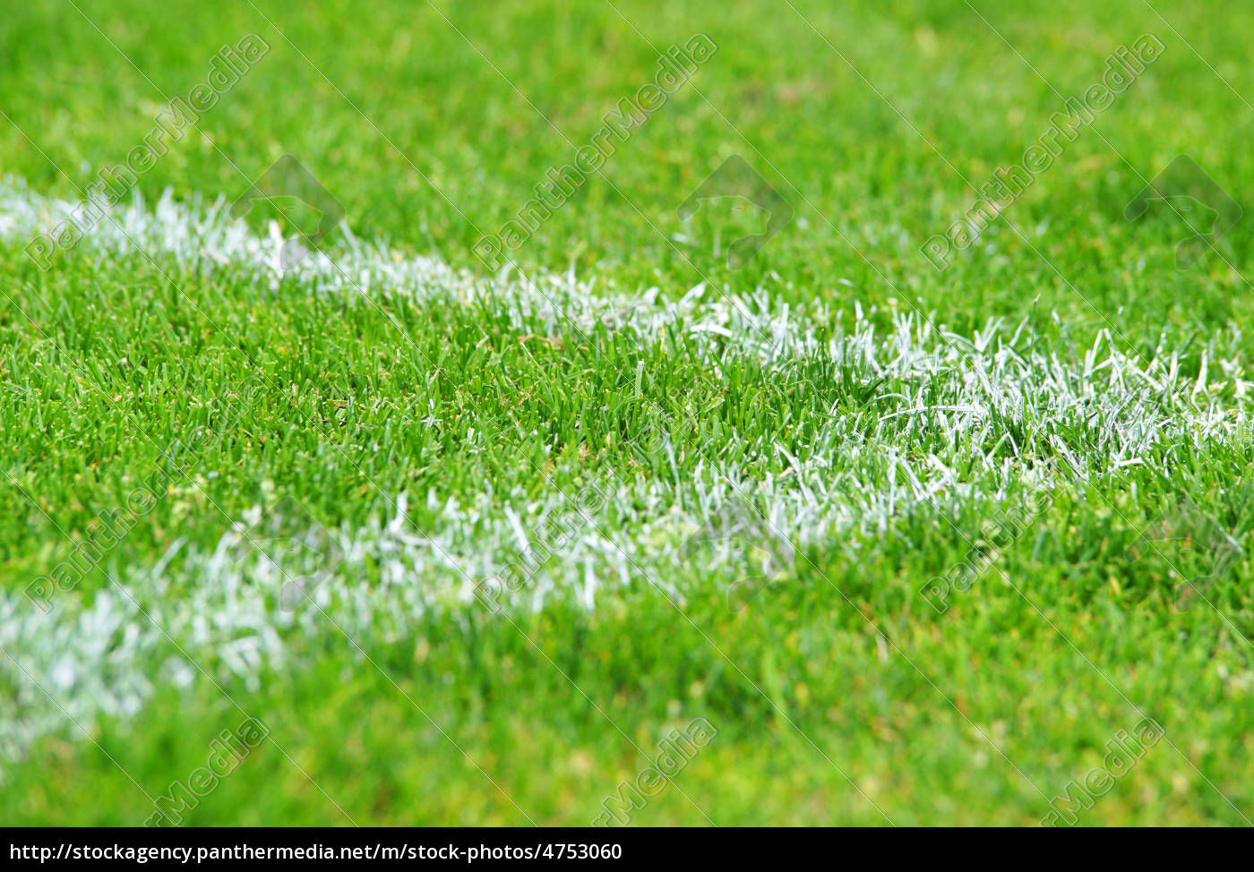 Fußball Ecke Rasen - Soccer Grass - Lizenzfreies Foto - #4753060