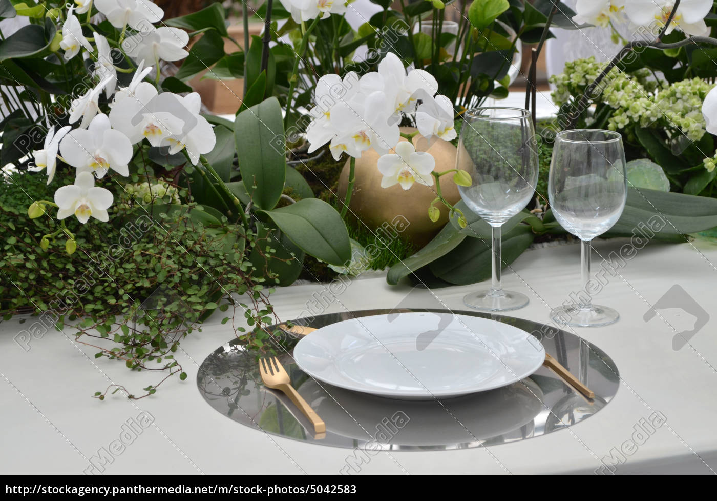 Festlicher Tisch Im Garten Stockfoto 5042583 Bildagentur