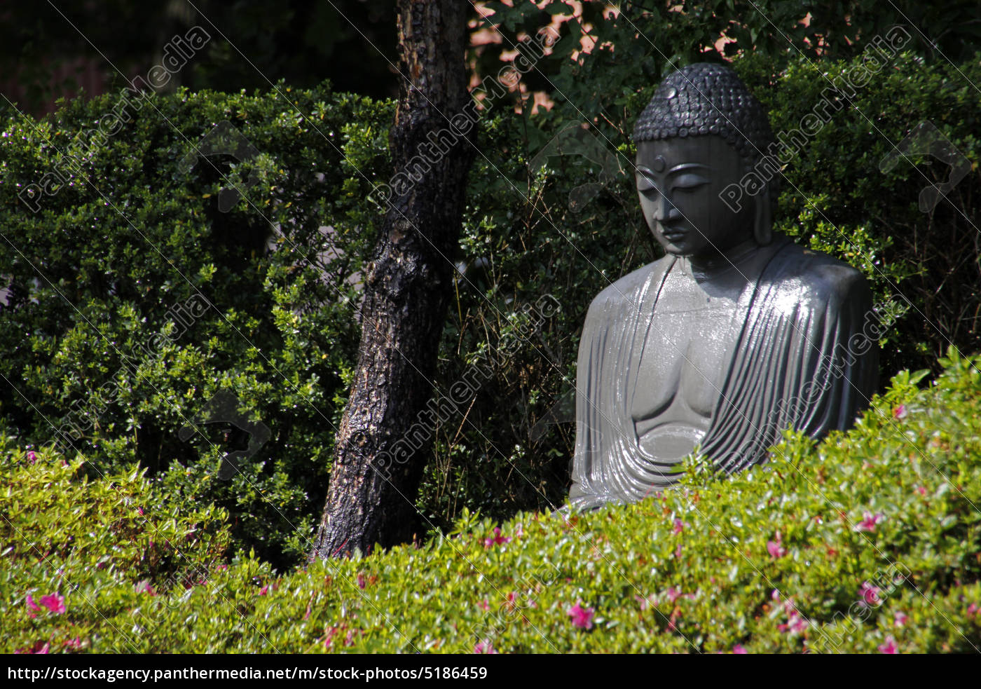 Buddha Statue In Einem Japanischen Garten Lizenzfreies Bild