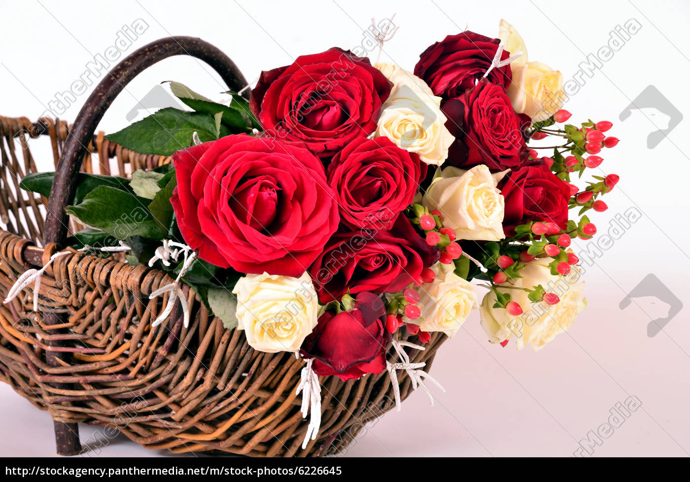ein Korb mit roten Rosen Lizenzfreies Bild 6226645 Bildagentur