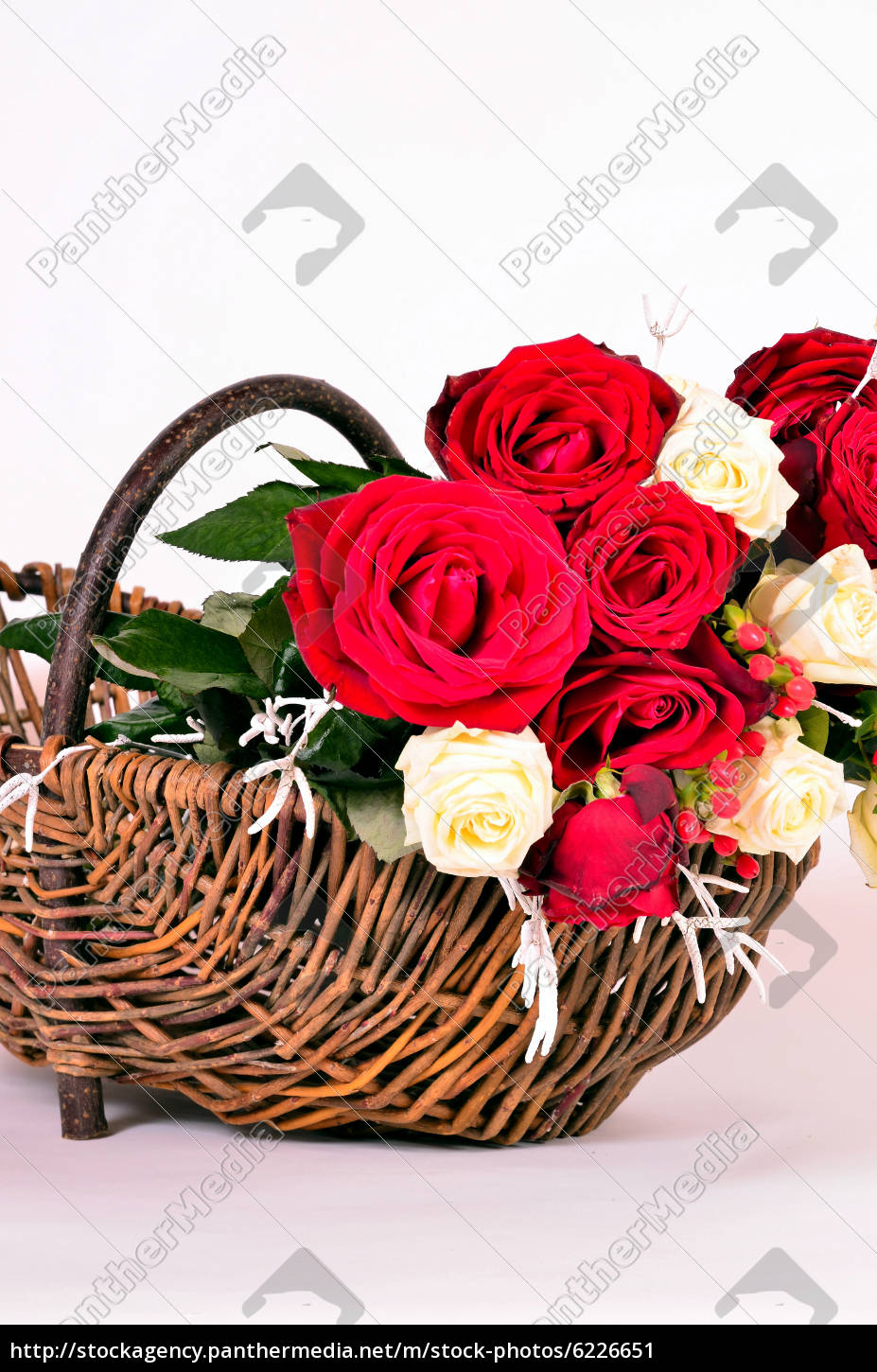 ein Korb mit roten Rosen Lizenzfreies Bild 6226651 Bildagentur