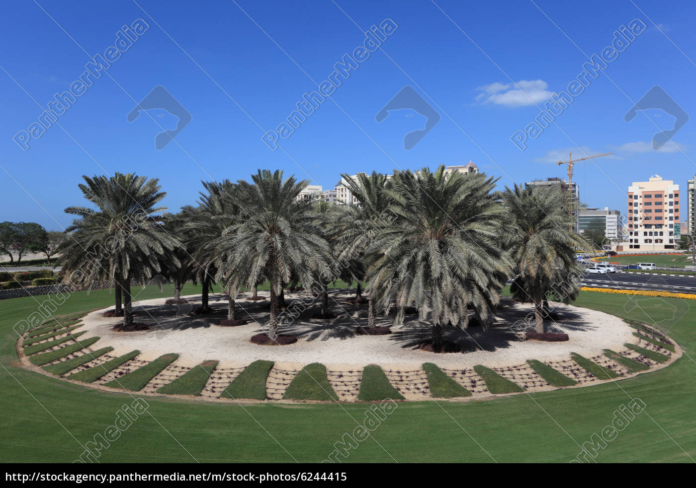 Palmen An Einem Kreisverkehr In Dubai Vereinigte Lizenzfreies Bild Bildagentur Panthermedia