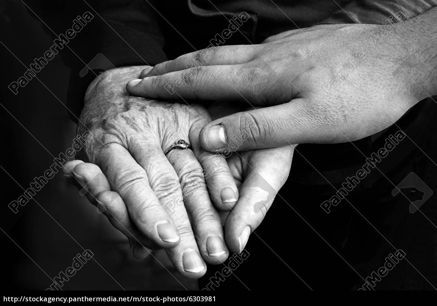 Hände Von Jung Und Alt Hände Die Einander Helfen Stockfoto 6303981 Bildagentur Panthermedia