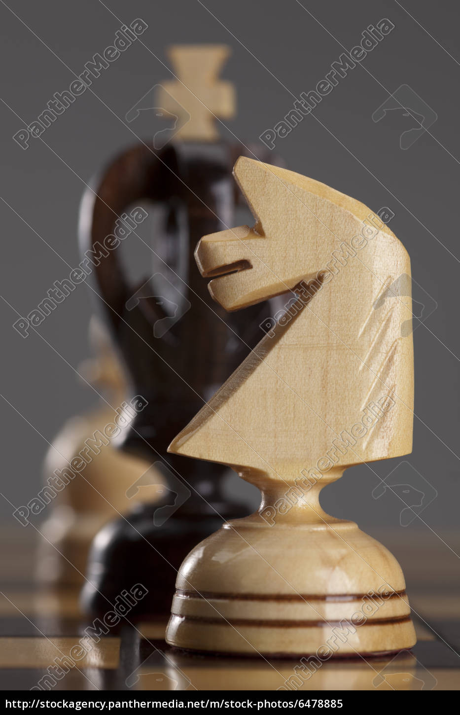 schwarz Schach Stück Ritter, Stock Bild