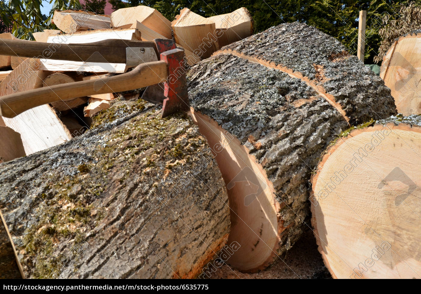 Holz Hacken Feuerholz Esche Laubholz Lizenzfreies Bild Bildagentur Panthermedia