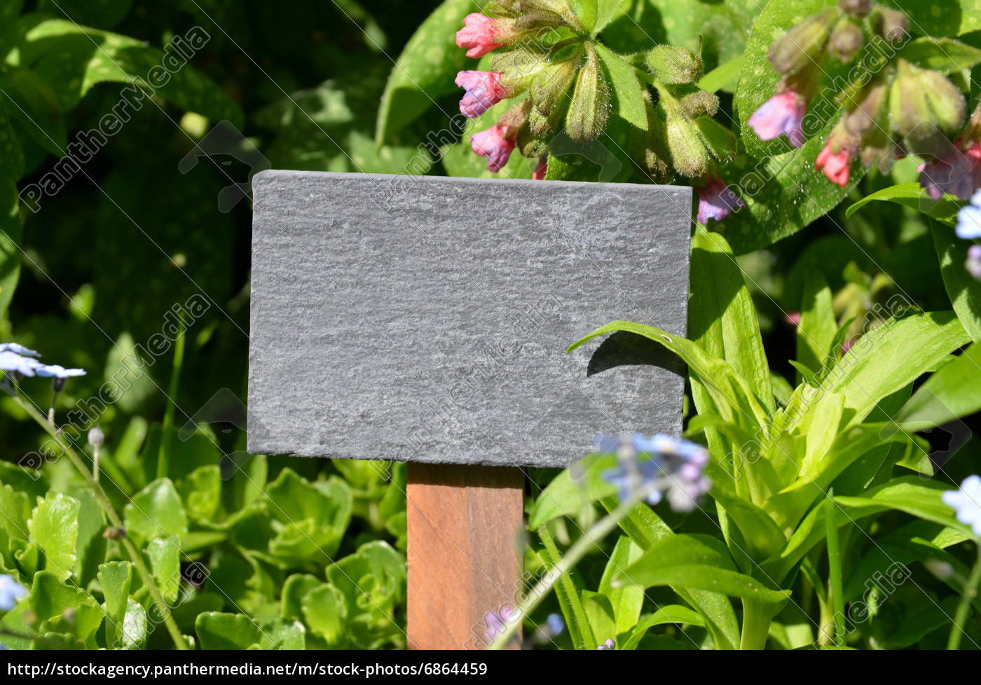 Tafel Frische Krauter Garten Stockfoto 6864459 Bildagentur